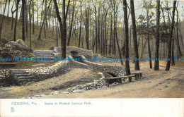 R134929 Reading. Pa. Scene In Mineral Springs Park. Raphotype. Tuck. No. 5466 - World