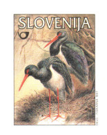 Slovenia 1997, Bird, Birds, Postal Stationery, Pre-Stamped Post Card, MNH** - Storchenvögel
