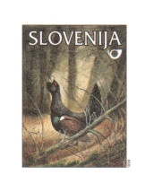 Slovenia 1999, Bird, Birds, Postal Stationery, Pre-Stamped Post Card, MNH** - Autres & Non Classés