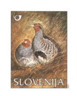 Slovenia 2000, Bird, Birds, Postal Stationery, Pre-Stamped Post Card, MNH** - Sonstige & Ohne Zuordnung