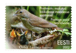 Estonia 2002, Bird, Birds, Postal Stationery, Pre-Stamped Post Card, MNH** - Andere & Zonder Classificatie