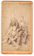 Photo W. J. Wellsted & Son, Hull, Paragon Str. 19&20, Drei Elegante Herren In Anzügen  - Personas Anónimos