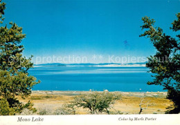 72926225 California_US-State Mono Lake - Andere & Zonder Classificatie