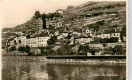 13959686 St_Saphorin_Lavaux_VD Ansicht Vom Genfersee Aus - Autres & Non Classés