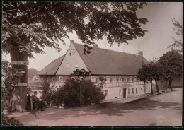 Fotografie Brück & Sohn Meissen, Ansicht Bärenfels, Gasthof Bärenfels, Strasse & Baum Mit Wegweiser  - Orte