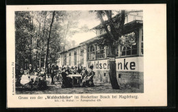 AK Magdeburg, Gruss Aus Der Waldschänke Im Biederitzer Busch, Inh. G. Weber  - Magdeburg