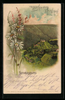 Lithographie Schwarzburg, Ortsansicht Aus Der Vogelschau, Blumenmotiv  - Autres & Non Classés