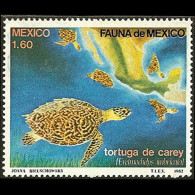 MEXICO 1982 - Scott# 1281 Hawksbill Turtle 1.6p MNH - México