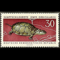 DDR 1963 - Scott# 665 Pond Turtle 30p MNH - Neufs