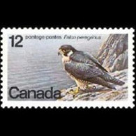 CANADA 1978 - Scott# 752 Falcon Set Of 1 MNH - Ungebraucht