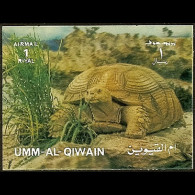 UMM AL QIWAIN 1972 - MI# 1599 Tortoise 1r MNH - Umm Al-Qaiwain