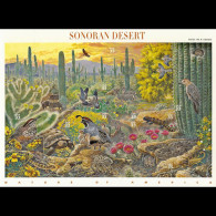 U.S.A. 1999 - Scott# 3293 Sheet-Sonoran Desert MNH - Ungebraucht