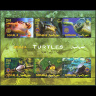 SOMALIA 2004 - S/S Turtles MNH - Somalië (1960-...)