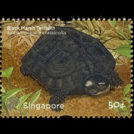 SINGAPORE 2011 - Scott# 1480 Marsh Terrapin 50c MNH - Singapour (1959-...)