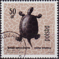 POLAND 1963 - Scott# 1136 Pond Turtle 50g LH - Used Stamps