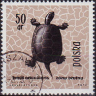 POLAND 1963 - Scott# 1136 Pond Turtle 50g CTO - Used Stamps