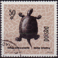 POLAND 1963 - Scott# 1136 Pond Turtle 50g Used - Usados