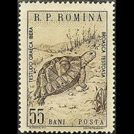 ROMANIA 1960 - Scott# 1316 Greek Tortois 55b MNH - Nuovi