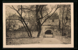 AK Thüngen, Schloss  - Sonstige & Ohne Zuordnung