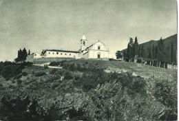 CONTEA - DICOMANO - RUFINA - FIRENZE - CONVENTO DI S.DETOLE - Firenze (Florence)