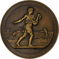 France, Médaille, Syndicat De L'Industrie Des Engrais Azotés, Bronze - Autres & Non Classés