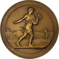 France, Médaille, Comptoir Français De L'Azote, Champs D'expériences, Bronze - Other & Unclassified