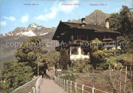 72103576 Merano Suedtirol Pension Mimosa Saxifraga Meran - Other & Unclassified