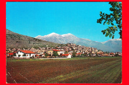 ITALIA - Abruzzo - Cartolina Viaggiata Nel 1975 - Scurcola Marsicana (L'Aquila) - Panorama E Monte Velino - Autres & Non Classés