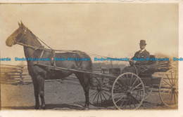 R137041 Horse. Man. Old Photography. Postcard - Wereld