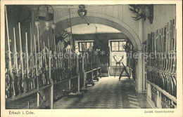 72102182 Erbach Odenwald Schloss Gewehrkammer Erbach - Erbach