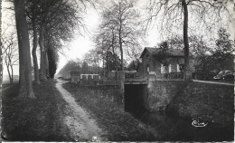 1A --- 41 LAMOTTE-BEUVRON Le Canal, La Maison De L'Eclusier - Lamotte Beuvron