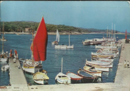 Ile De Porquerolles - Le Port - (P) - Porquerolles