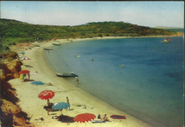 Porquerolles - La Plage Du Langoustier - Flamme De Hyères-les-Palmiers 1966 - (P) - Porquerolles