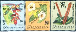 Famiglia Reale 1981. - Guyana (1966-...)