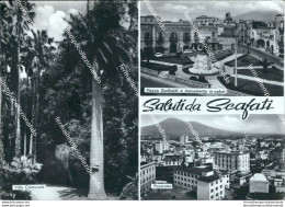 Bz417 Cartolina Saluti Da Scafati Provincia Di Salerno Campania - Salerno