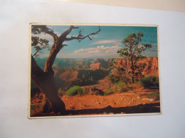 UNITED STATES    POSTCARDS 1992  NATIONAL PARK GRAND CANYON - Other & Unclassified