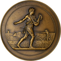 France, Médaille, Syndicat De L'Industrie Des Engrais Azotés, Bronze - Andere & Zonder Classificatie