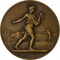 France, Médaille, Associations Agricoles, République Française, Bronze - Autres & Non Classés