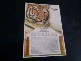 BELLE ILLUSTRATION R.BOTTI..."ASTROLOGIE CHINOISE ...LE TIGRE" - Astrología