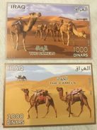 Iraq Camels 2013 Stamps MNH SS - Irak