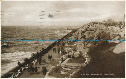 R137209 Rockery Promenade. Blackpool. Valentine. Photo Brown. 1931 - Monde