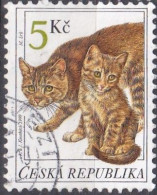 Domestic Cat (Felis Silvestris Catus) - 1999 - Usados