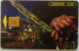 Mexico Ladatel $20 Chip Card - Dia De Muertos En Zacarecas - México