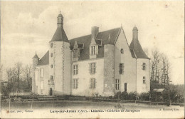 7407 CPA Lury Sur Arnon - Limeux - Château De Saragosse - Vierzon