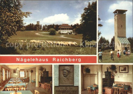 72097428 Raichberg Onstmettingen Albvereins Wanderheim Naegelehaus Schafherde Ga - Albstadt