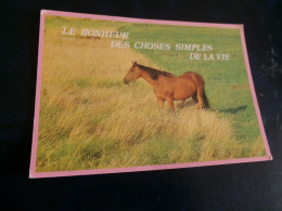 BELLE CARTE POETIQUE..."CHEVAL EN SOLO...LE BONHEUR DES CHOSES SIMPLES DE LA VIE" - Paarden