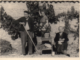 Photographie Vintage Photo Snapshot Tricot Tricoteuse Tricoter Laine Jardin - Autres & Non Classés