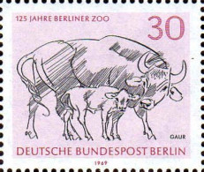 Berlin Poste N** Yv:312 Mi:340 125 Jahre Berliner Zoo Gaur - Unused Stamps