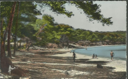 Porquerolles - La Plage D'Argent - (P) - Porquerolles