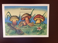 Ghana 1981 Mushrooms Minisheet MNH - Ghana (1957-...)